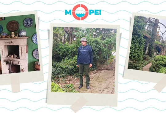 Зелений рай у місті: в Арцизі ландшафтний дизайнер створив ботанічний сад у власній садибі