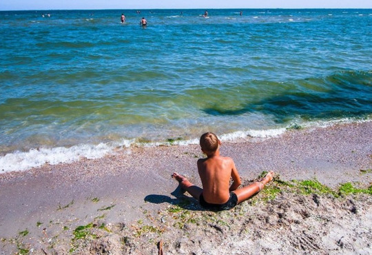 В Приморському на Одещині відкрили пляж - як дістатися до селища