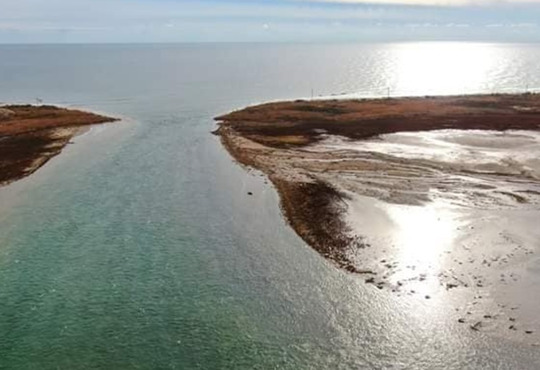 Конфлікт навколо Національного парку "Тузлівські лимани". Чому рибальство під забороною