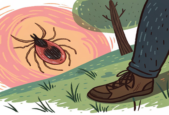 Кліщі більше до вас не сунуться — ось що треба зробити перед відпочинком на природі