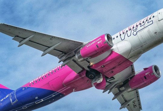 Ryanair, Wizz Air та ще п'ять лоукостерів завалюють скаргами за надмірні збори за багаж