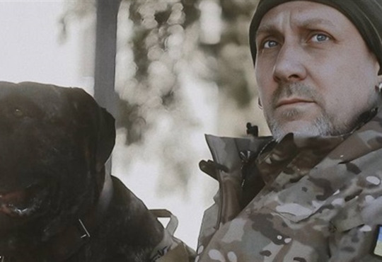 "Сумує і розуміє весь жах". Історія собаки Тари, що знайшла загиблу дитину під завалами в Одесі