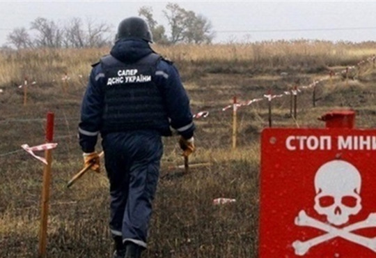 У 2024 році Україна розмінувала 53,7 гектар землі. Понад 90% із неї на Херсонщині