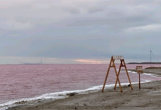 Попри холод, Лемурійське озеро досі рожеве: яскраві фото