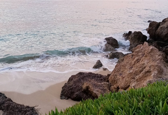 Путівник Пафосом: античні руїни, Афродіта і морські печери