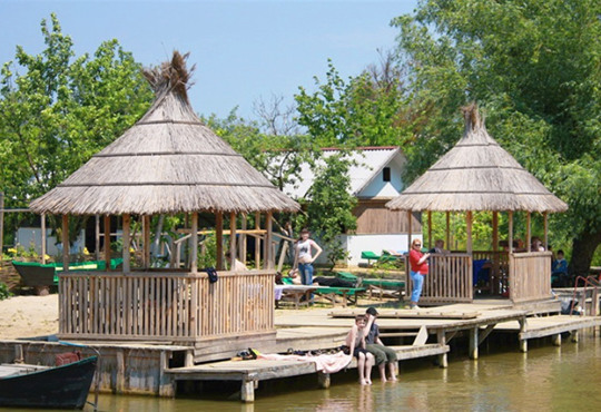 Автентична юшка та унікальний чай. Відпочинок на острові поблизу Вилкового