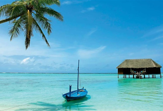 Відпочинок на Шрі-Ланці. Що варто знати українцям, плануючи подорож