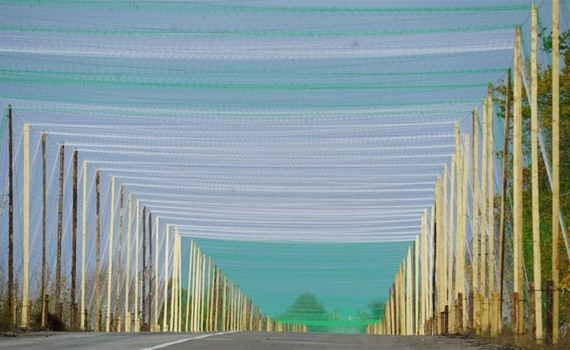 Армія РФ рветься до ключових висот і траси Слов’янськ-Ізюм. Яка ситуація на цьому напрямку