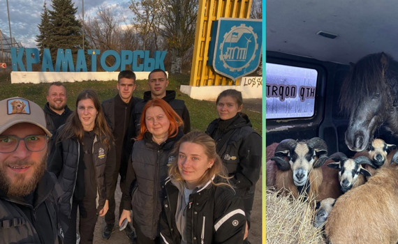 З ландшафтного парку “Краматорський” евакуювали тварин. Олені, поні, вівці та віслюки досі налякані