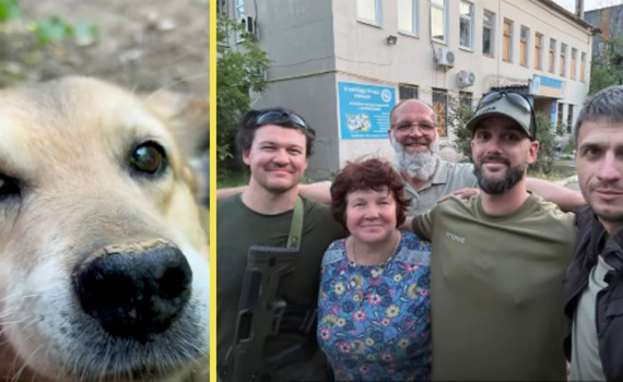 З Дружківки під дронами вивезли 28 тварин і волонтерку. Вона щодня ходила їх годувати