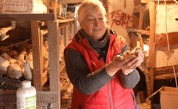 Наталія Ковальова з Біловодська відкрила мініптахоферму на Кіровоградщині. Вирощує курей і перепелів