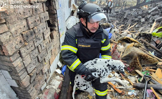 У Добропіллі рятувальники витягли з-під завалів собаку. Пес вижив після авіаудару — деталі