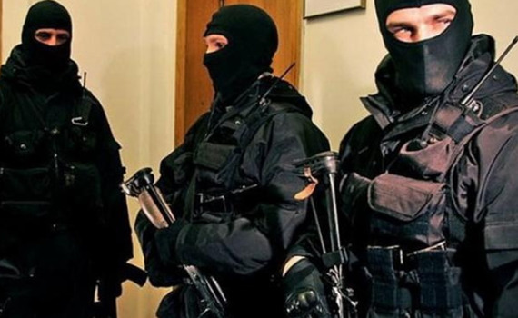 После моего эксперимента налоговая идет с большой проверкой в "Цитрус". 