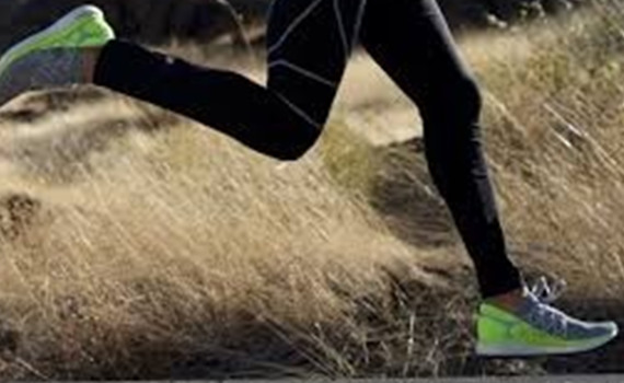 Reebok classic: неоценимое качество известных кроссовок