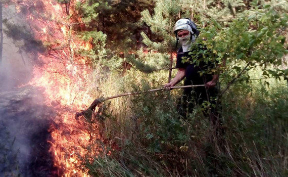Ніколи не гасив таких масштабних пожеж. Рятувальник – про 27 годин роботи в лісі під Сєвєродонецьком