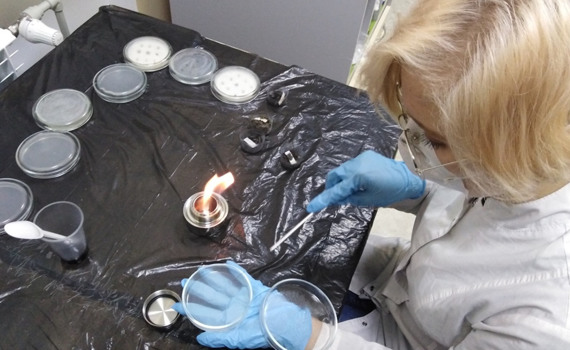 18-річна маріупольчанка розробила технологію очистки ґрунтів від нафти. Ось як це працює