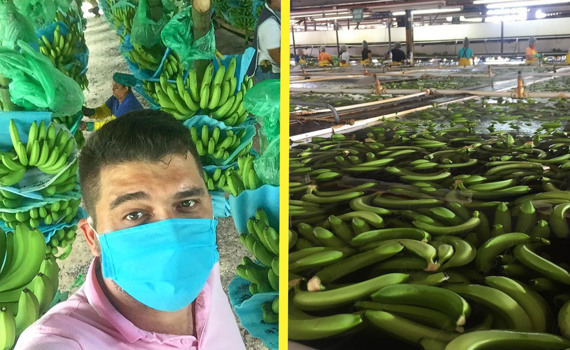 7 мифов о бананах разрушит дончанин Эдвард Вейс. Он уже год экспортирует их в Украину из Эквадора