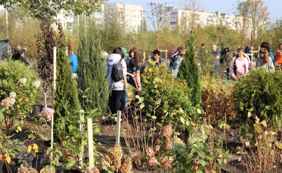 В Северодонецке запускают «Деревья в смартфоне». Каждое внесут в электронный реестр