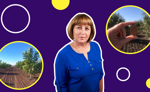 Це єдина плантація мигдалю в Донецькій області. Тут вже зібрали перший врожай