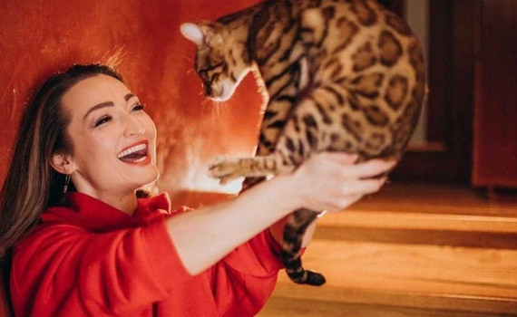 Only one cat survived. Russian occupants destroyed a cattery of Bengal cats in Mariupol