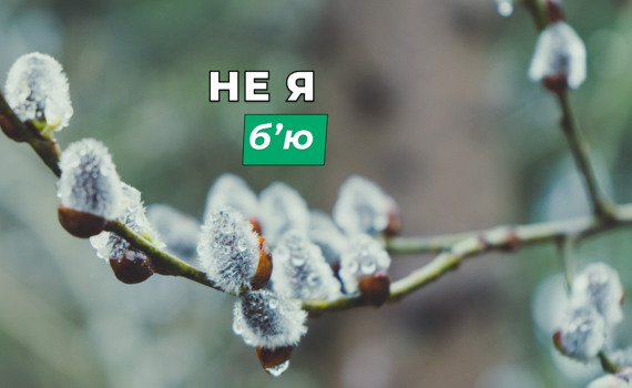 Історія та традиції Вербної неділі