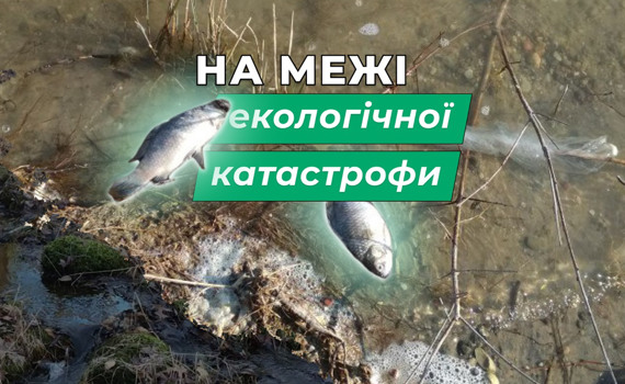 У бучанському озері Земснаряд задихається риба. На відновлення озера піде до двох років
