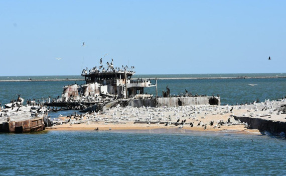 День моря без моря. Окупанти наближають екологічну катастрофу й знищують флору та фауну Азову