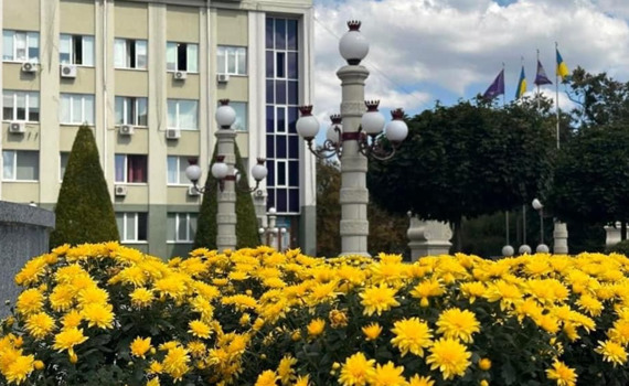 В Ірпені почастішали випадки крадіжок квітів з клумб: чи вдається зловити злодіїв