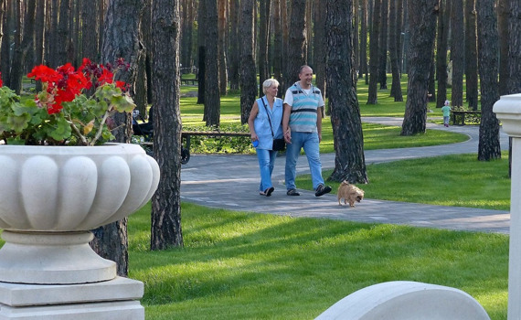 У парках Ірпеня зʼявиться безплатний Wi-Fi
