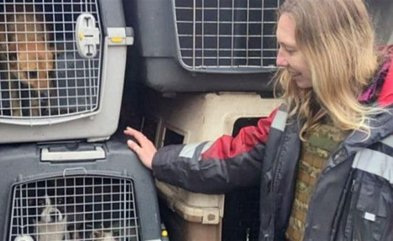 Врятували 300 котів і собак, а ще півня і козу. Як Kyiv Animal Rescue Group вивозять тварин зі сходу