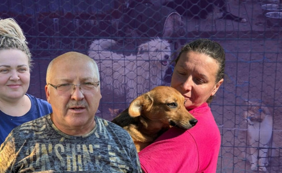 Ми нікого не залишили на вулиці. Як мирноградські зооволонтери рятують тварин зі всієї Донеччини