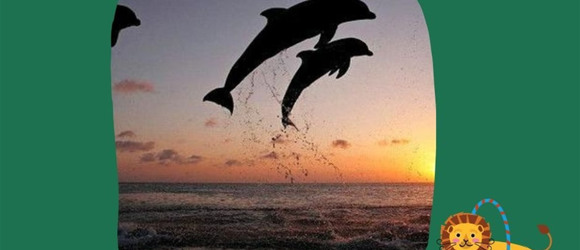 Екорішення 20. Я не ходжу до цирку з тваринами та дельфінарію