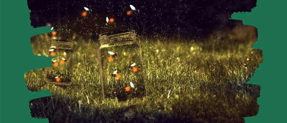 Екорішення 6. Я не створюю світлове забруднення, бо воно шкодить природі