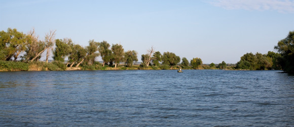 До 2050 року в Україну доведеться імпортувати питну воду: в чому причина