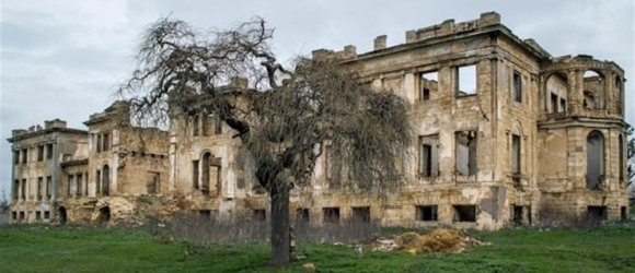 Лігво пацієнта Фрейда та людини-вовка. У селі Василівка знаходиться маєток Сергія Панкєєва