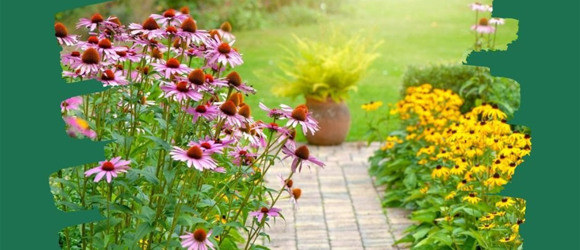 Екорішення 5: я створюю острівці біорізноманіття, а не викошую траву під нуль