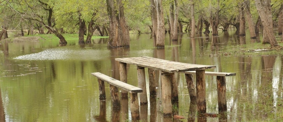 Навіщо треба весняне водопілля, і чому на Дністрі виникають паводки: що створила природа, а що люди