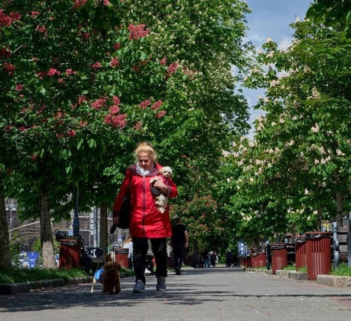 Що змінюється в Україні з 1 червня 2026 року. Реформа армії, кешбек, бронювання і комуналка