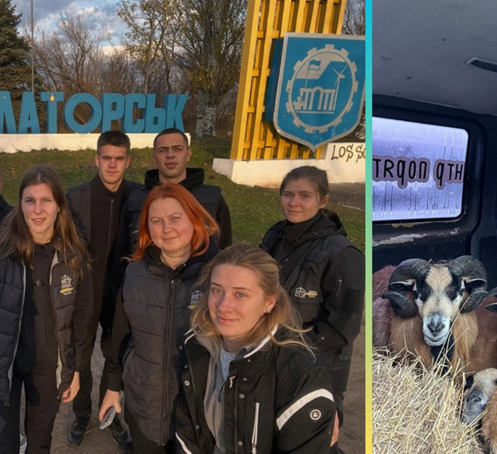 З ландшафтного парку “Краматорський” евакуювали тварин. Олені, поні, вівці та віслюки досі налякані