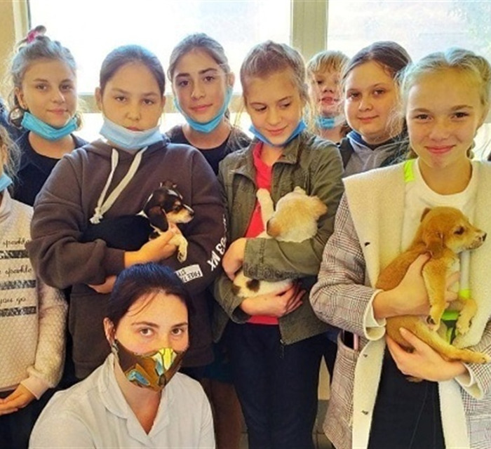 Школьники помогают бездомным животным в приюте Мариуполя. В акциях собрали 2,5 тонны корма