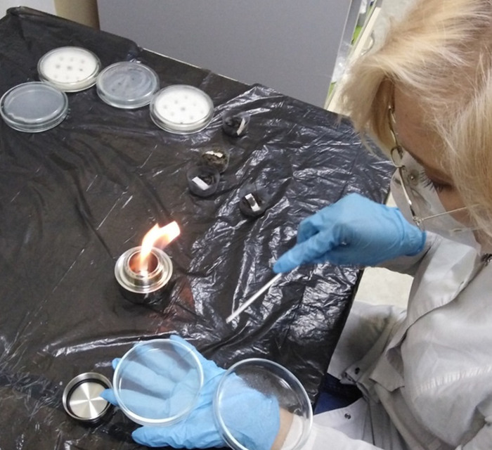 18-річна маріупольчанка розробила технологію очистки ґрунтів від нафти. Ось як це працює