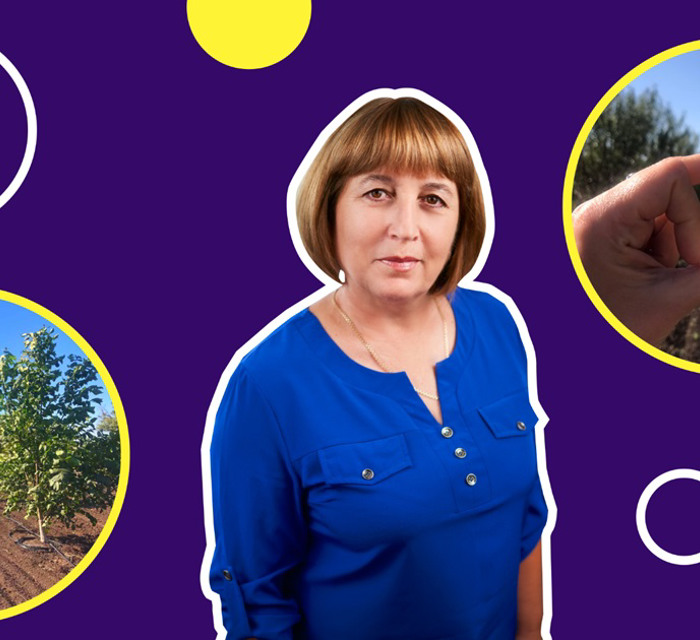 Це єдина плантація мигдалю в Донецькій області. Тут вже зібрали перший врожай
