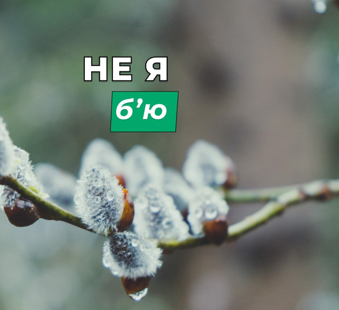 Історія та традиції Вербної неділі