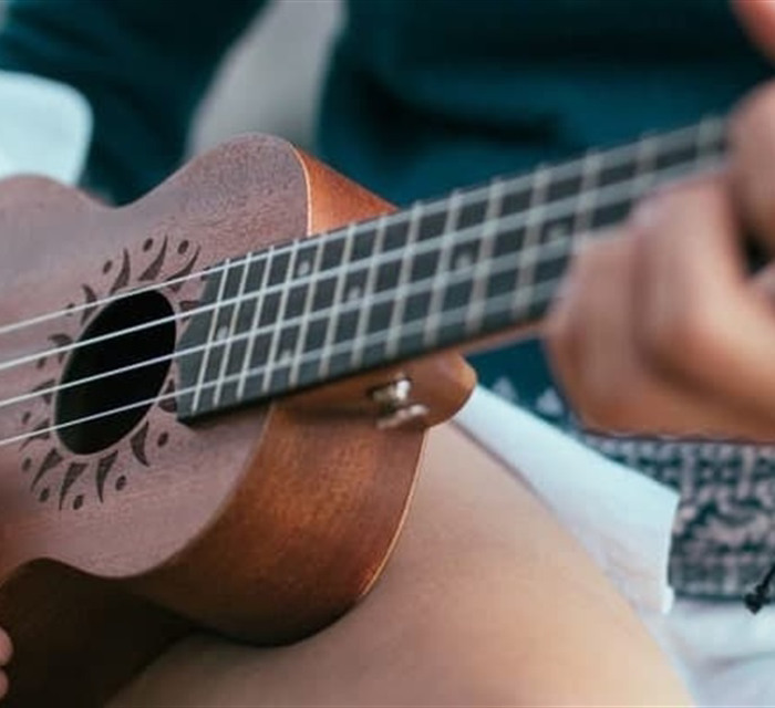 Що таке укулеле: різновиди та критерії вибору