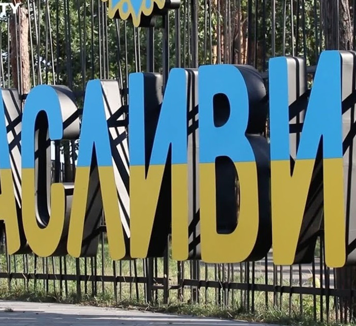 У Гостомелі відбувся благодійний захід "Молодь заради перемоги"