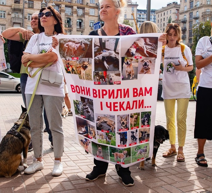 Залишила тварин напризволяще: Наталію Мазур звільнили з посади керівниці притулку в Бородянці