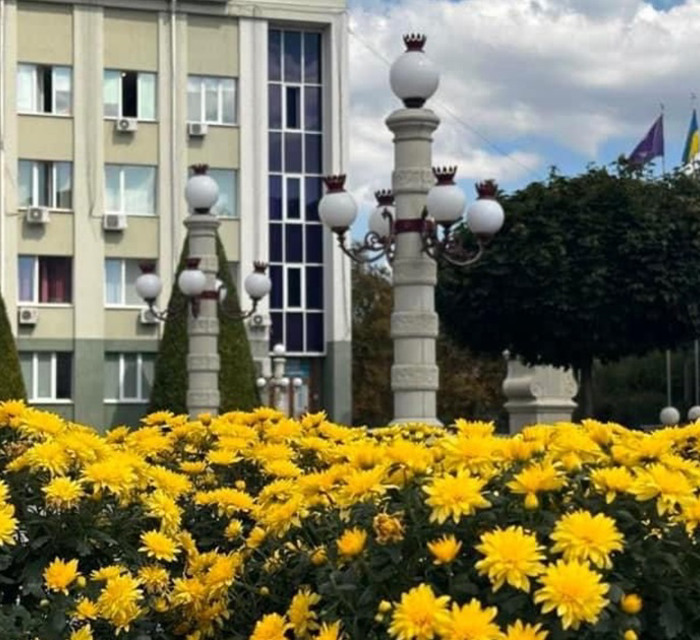 В Ірпені почастішали випадки крадіжок квітів з клумб: чи вдається зловити злодіїв