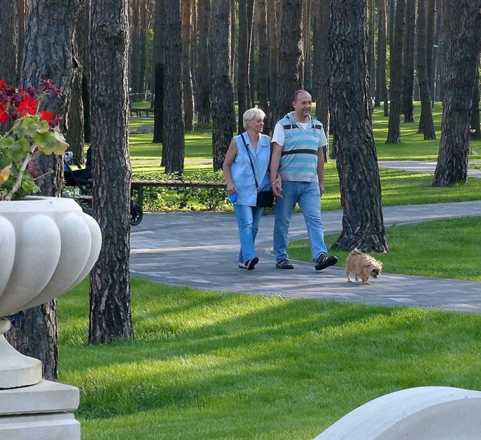 У парках Ірпеня зʼявиться безплатний Wi-Fi