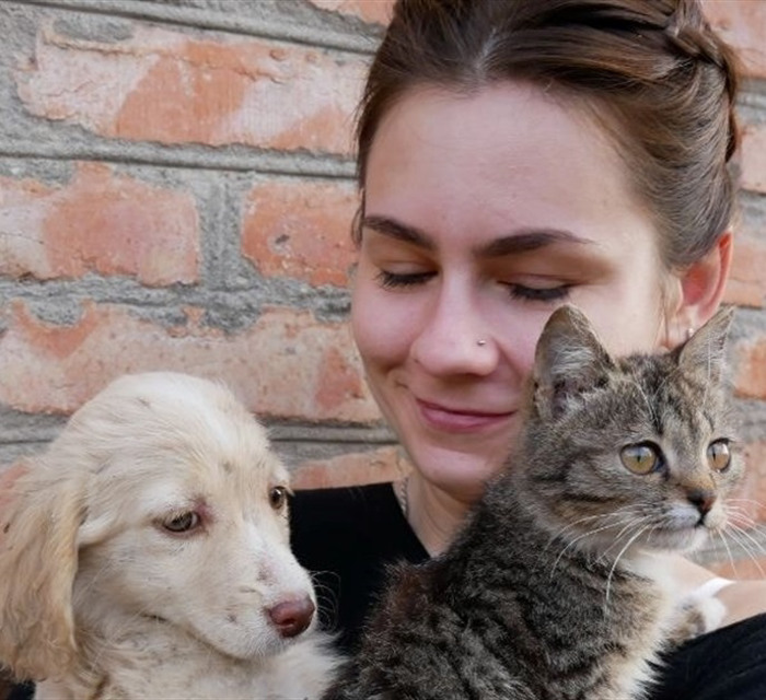 Зоозахисниця Богдана Стоян опікується 37 котами з Донеччини. Вона купила для хвостиків будинок