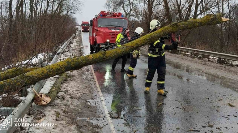 Негода у Городоцькій громаді: скільки населених пунктів без світла та де повалені дерева